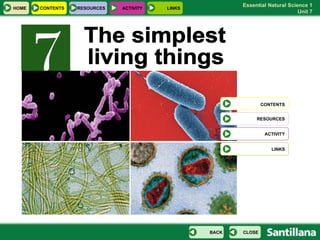 The simplest  living things HOME RESOURCES CONTENTS CLOSE BACK ACTIVITY LINKS CONTENTS RESOURCES ACTIVITY LINKS 