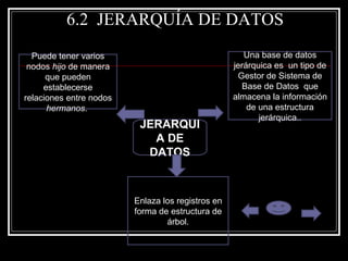6.2  JERARQUÍA DE DATOS JERARQUIA DE DATOS Una base de datos jerárquica es  un tipo de Gestor de Sistema de Base de Datos  que almacena la información de una estructura jerárquica. . Enlaza los registros en forma de estructura de árbol. Puede tener varios nodos  hijo  de manera que pueden establecerse relaciones entre nodos  hermanos .  