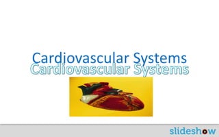 Cardiovascular Systems Cardiovascular Systems 