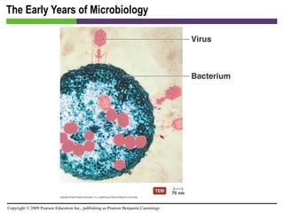 The Early Years of Microbiology 