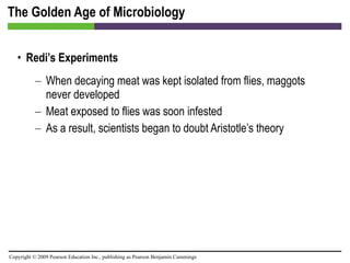 The Golden Age of Microbiology Redi’s Experiments When decaying meat was kept isolated from flies, maggots never developed Meat exposed to flies was soon infested As a result, scientists began to doubt Aristotle’s theory 
