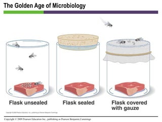 The Golden Age of Microbiology 