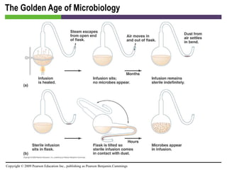 The Golden Age of Microbiology 
