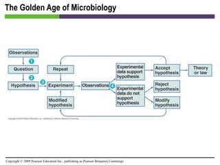 The Golden Age of Microbiology 