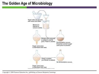 The Golden Age of Microbiology 