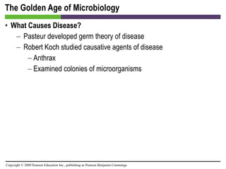 The Golden Age of Microbiology What Causes Disease? Pasteur developed germ theory of disease Robert Koch studied causative agents of disease Anthrax Examined colonies of microorganisms 