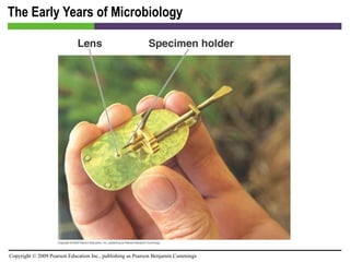 The Early Years of Microbiology 
