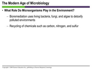 The Modern Age of Microbiology What Role Do Microorganisms Play in the Environment?   Bioremediation uses living bacteria, fungi, and algae to detoxify polluted environments Recycling of chemicals such as carbon, nitrogen, and sulfur 