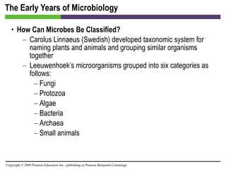 The Early Years of Microbiology How Can Microbes Be Classified? Carolus Linnaeus (Swedish) developed taxonomic system for naming plants and animals and grouping similar organisms together Leeuwenhoek’s microorganisms grouped into six categories as follows:  Fungi Protozoa Algae Bacteria Archaea Small animals 