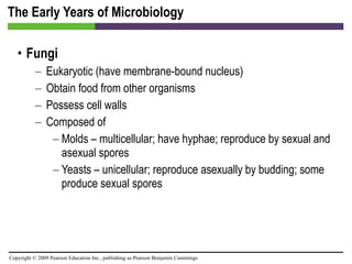 The Early Years of Microbiology Fungi Eukaryotic (have membrane-bound nucleus) Obtain food from other organisms Possess cell walls Composed of Molds – multicellular; have hyphae; reproduce by sexual and asexual spores Yeasts – unicellular; reproduce asexually by budding; some produce sexual spores 