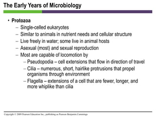 The Early Years of Microbiology Protozoa Single-celled eukaryotes Similar to animals in nutrient needs and cellular structure Live freely in water; some live in animal hosts Asexual (most) and sexual reproduction Most are capable of locomotion by Pseudopodia – cell extensions that flow in direction of travel Cilia – numerous, short, hairlike protrusions that propel organisms through environment Flagella – extensions of a cell that are fewer, longer, and more whiplike than cilia 