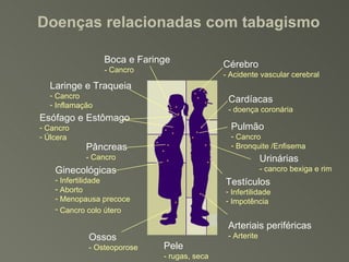 Cardíacas - doença coronária Urinárias - cancro bexiga e rim Esófago e Estômago Cancro Úlcera Pâncreas - Cancro Pulmão Cancro Bronquite /Enfisema Cérebro - Acidente vascular cerebral Laringe e Traqueia Cancro Inflamação Arteriais periféricas - Arterite Boca e Faringe - Cancro Testículos Infertilidade Impotência Ginecológicas Infertilidade Aborto  Menopausa precoce Cancro colo útero   Ossos - Osteoporose Pele - rugas, seca Doenças relacionadas com tabagismo 