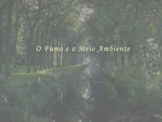 O Fumo e o Meio Ambiente 