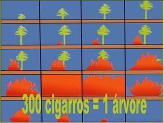 300 cigarros = 1 árvore 