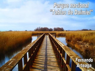 Parque nacional &quot;Tablas de Daimiel&quot; Fernando Arteaga 
