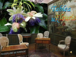 Tableaux Tableaux Fleuris Fleuris PASSIFLORE DE POPENOE 