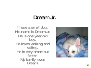 Dream Jr. I have a small dog. His name is Dream Jr. He is one year old boy. He loves walking and eating. He is very smart but funny. My family loves Dream! 