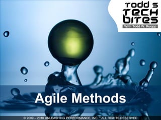 Agile Methods
© 2009 – 2010 UNLEASHING PERFORMANCE, INC.™ ALL RIGHTS RESERVED
 