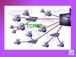 TCP/IP 