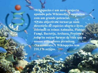 Aliás, a proposta é ser muito mais abrangente que um dicionário comum, incluindo thesaurus, rima, traduções, pronunciação em áudio, etimologias e citações. 