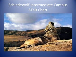 Schindewolf Intermediate Campus STaR Chart 