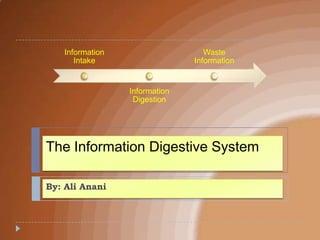 The Information Digestive System By: Ali Anani 