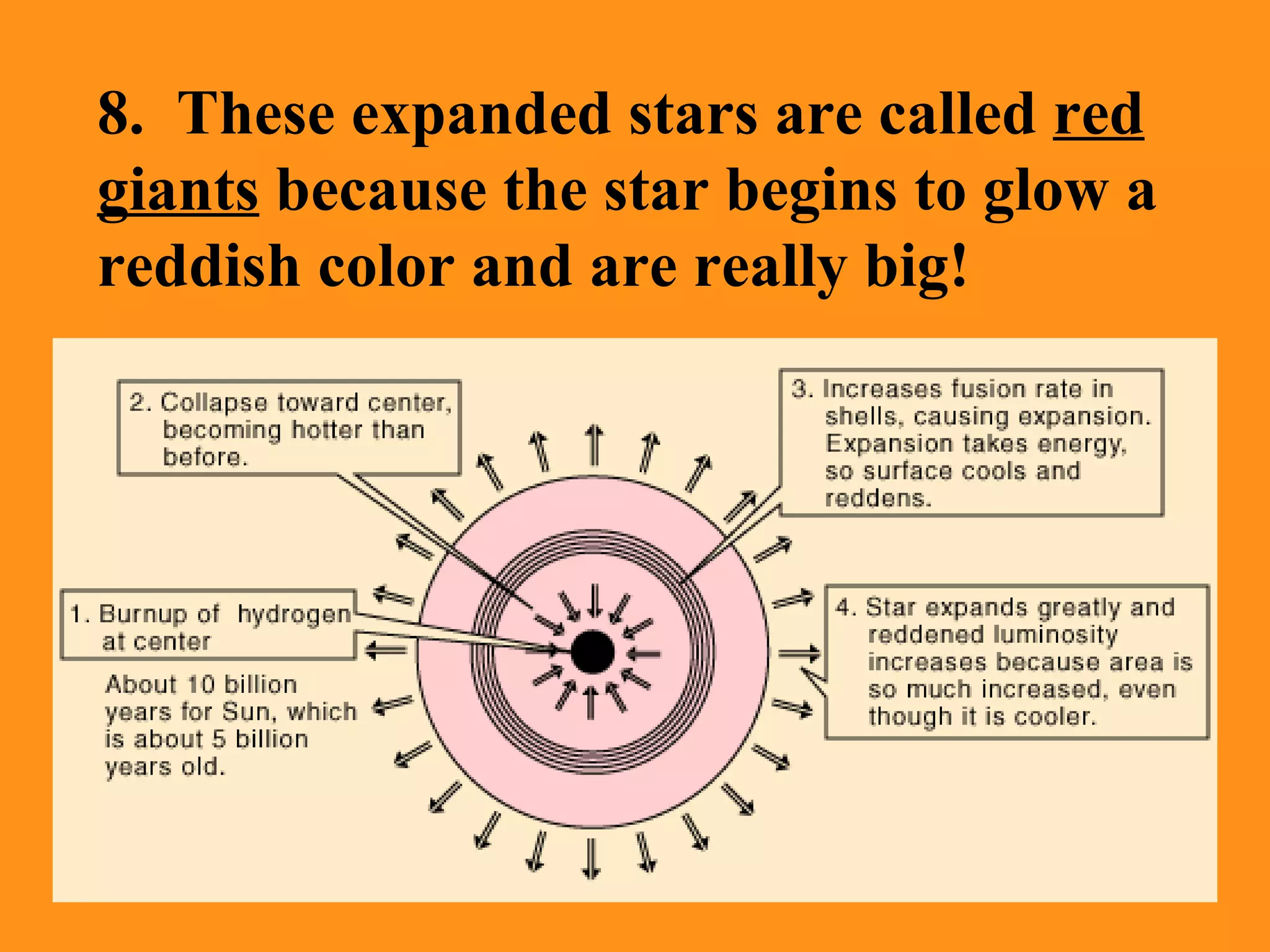 8.  These expanded stars are called  red giants  because the star begins to glow a reddish color and are really big! 