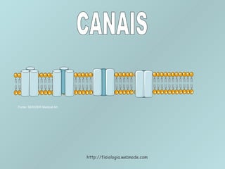 CANAIS http://fisiologia.webnode.com Fonte: SERVIER Medical Art 