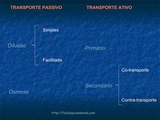 Difusão Simples Facilitada Osmose Primário Secundário Co-transporte Contra-transporte TRANSPORTE PASSIVO TRANSPORTE ATIVO http://fisiologia.webnode.com 