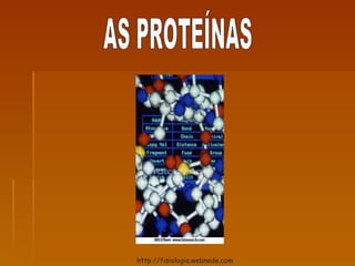 AS PROTEÍNAS http://fisiologia.webnode.com 