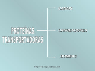 PROTEÍNAS TRANSPORTADORAS CANAIS CARREADORES BOMBAS http://fisiologia.webnode.com 