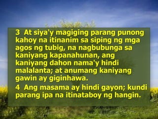 	3  At siya'ymagigingparangpunongkahoynaitinanimsasipingngmgaagosngtubig, nanagbubungasakaniyangkapanahunan, angkaniyangdahonnama'yhindimalalanta; at anumangkaniyanggawin ay giginhawa. 	4  Ang masama ay hindi gayon; kundi parang ipa na itinataboy ng hangin. 