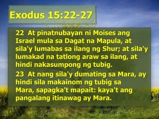 Exodus 15:22-27	22  At pinatnubayanniMoisesang Israel mulasaDagatnaMapula, at sila'ylumabassailangngShur; at sila'ylumakadnatatlongarawsailang, at hindinakasumpongngtubig. 	23  At nangsila'ydumatingsa Mara, ay hindisilamakainomngtubigsa Mara, sapagka'tmapait: kaya'tangpangalangitinawag ay Mara. 