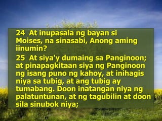 	24  At inupasala ng bayan si Moises, na sinasabi, Anong aming iinumin? 	25  At siya'ydumaingsaPanginoon; at pinapagkitaansiyangPanginoonngisangpunongkahoy, at inihagisniyasatubig, at angtubig ay tumabang. Dooninatanganniyangpalatuntunan, at ngtagubilin at doonsilasinubokniya; 