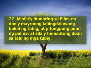 	27  At sila'ydumatingsaElim, nadoo'ymayroonglabingdalawangbukalngtubig, at pitongpungpunongpalma; at sila'yhumantongdoonsatabingmgatubig. 