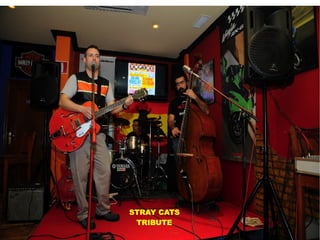 STRAY CATS  TRIBUTE 