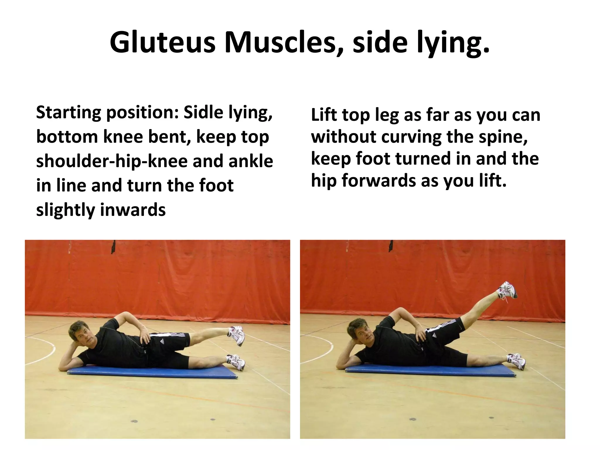 Gluteus Muscles, side lying. Starting position: Sidle lying, bottom knee bent, keep top shoulder-hip-knee and ankle in line and turn the foot slightly inwards Lift top leg as far as you can without curving the spine, keep foot turned in and the hip forwards as you lift. 