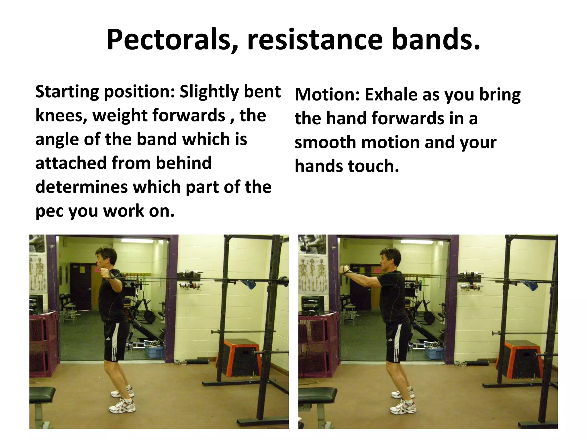 Pectorals, resistance bands. Starting position: Slightly bent knees, weight forwards , the angle of the band which is attached from behind determines which part of the pec you work on. Motion: Exhale as you bring the hand forwards in a smooth motion and your hands touch.  