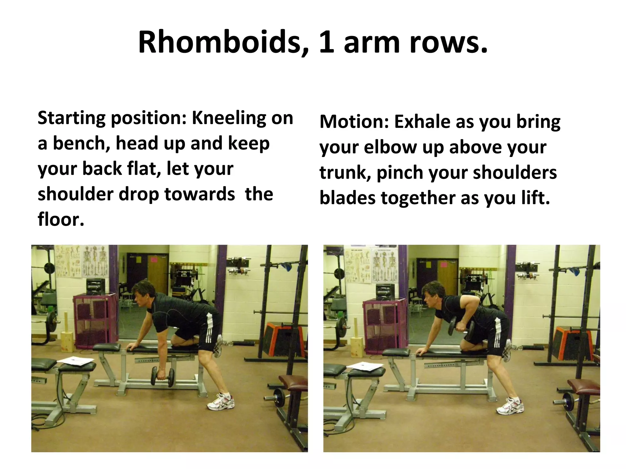 Rhomboids, 1 arm rows. Starting position: Kneeling on a bench, head up and keep your back flat, let your shoulder drop towards  the floor. Motion: Exhale as you bring your elbow up above your trunk, pinch your shoulders blades together as you lift. 