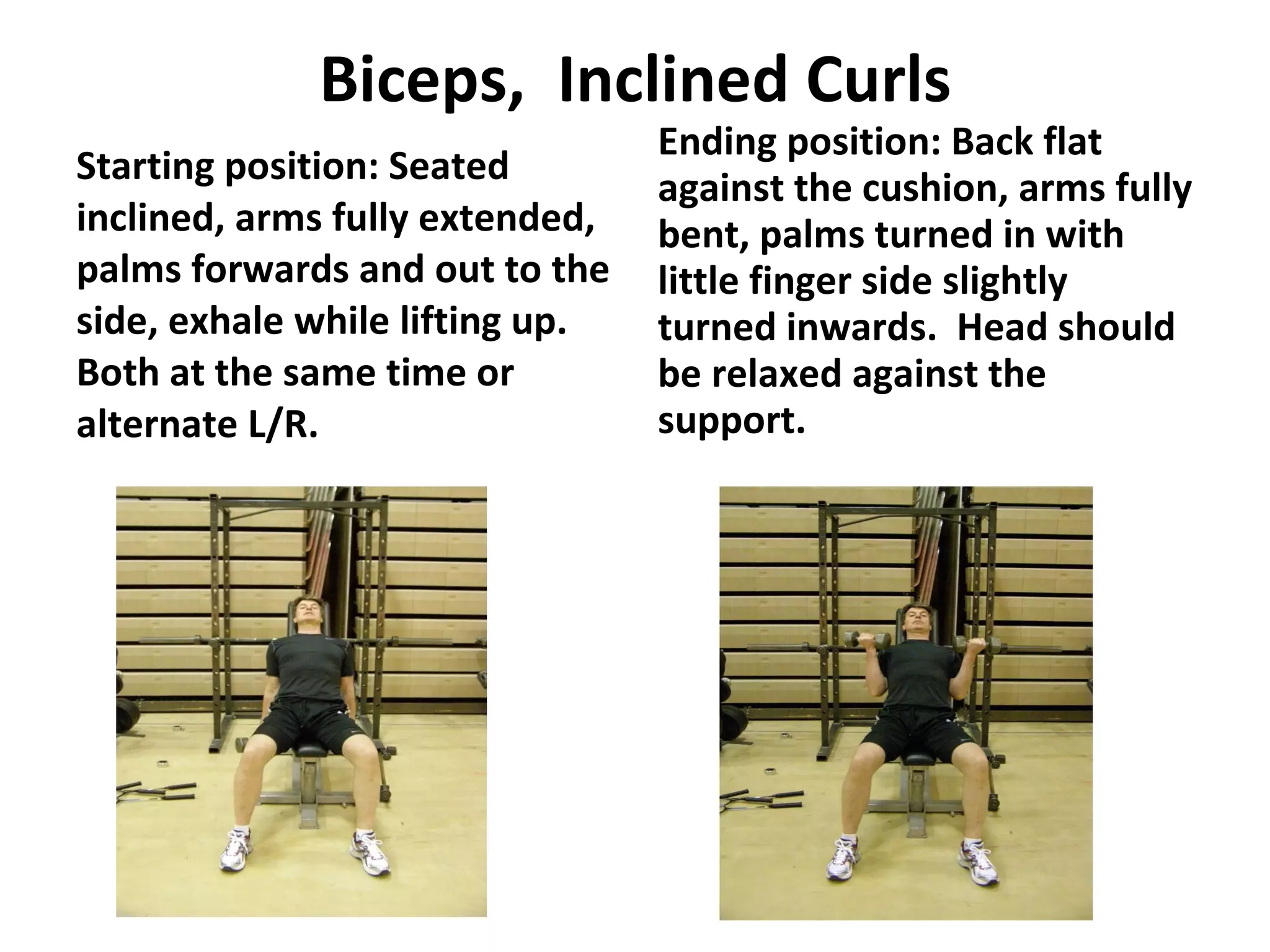 Biceps,  Inclined Curls Starting position: Seated inclined, arms fully extended, palms forwards and out to the side, exhale while lifting up.  Both at the same time or alternate L/R. Ending position: Back flat against the cushion, arms fully bent, palms turned in with little finger side slightly turned inwards.  Head should be relaxed against the support. 