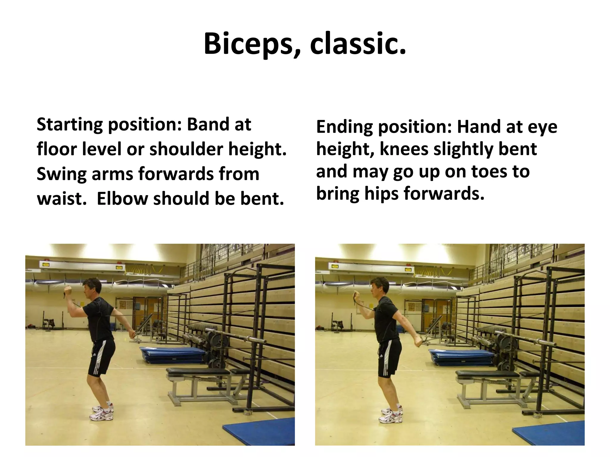 Biceps, classic. Starting position: Band at floor level or shoulder height.  Swing arms forwards from waist.  Elbow should be bent. Ending position: Hand at eye height, knees slightly bent and may go up on toes to bring hips forwards. 