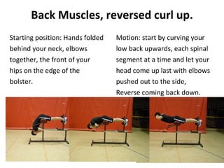 Back Muscles, reversed curl up. Starting position: Hands folded behind your neck, elbows together, the front of your hips on the edge of the bolster. Motion: start by curving your low back upwards, each spinal segment at a time and let your head come up last with elbows pushed out to the side, Reverse coming back down. 