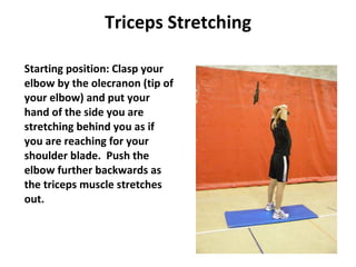 Triceps Stretching Starting position: Clasp your elbow by the olecranon (tip of your elbow) and put your hand of the side you are stretching behind you as if you are reaching for your shoulder blade.  Push the elbow further backwards as the triceps muscle stretches out. 
