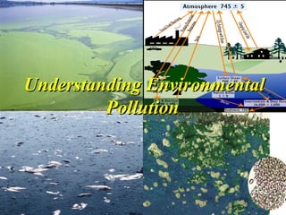 Understanding Environmental Pollution   