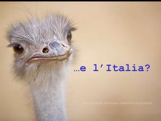 ® Guido Masnata – www.promediaexpert.com
…e l’Italia?
 