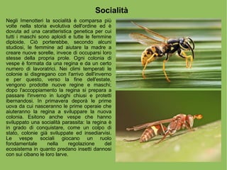 Socialità Negli Imenotteri la socialità è comparsa più volte nella storia evolutiva dell'ordine ed è dovuta ad una caratte...