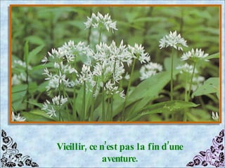 Vieillir, ce n’est pas la fin d’une aventure. 