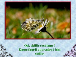 Oui, vieillir c’est beau ! Encore faut-il apprendre à bien vieillir. 