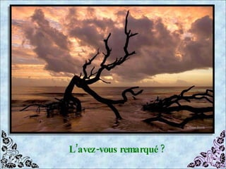 L’avez-vous remarqué ? 