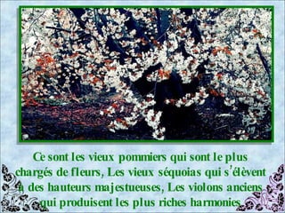 Ce sont les vieux pommiers qui sont le plus chargés de fleurs, Les vieux séquoias qui s’élèvent à des hauteurs majestueuses, Les violons anciens qui produisent les plus riches harmonies 